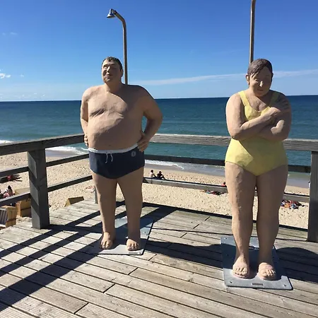 Appartement Ferienwohnung-austernfischer