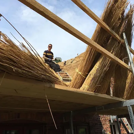 Ferienwohnung-austernfischer