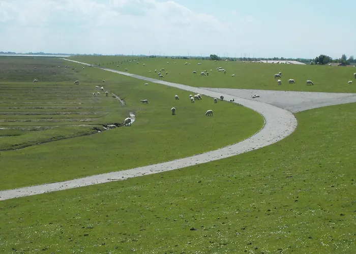 Apartamento Ferienwohnung-austernfischer Niebüll