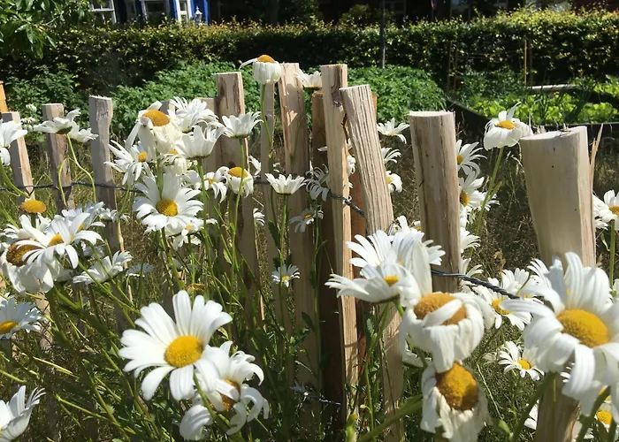 Apartamento Ferienwohnung-austernfischer *