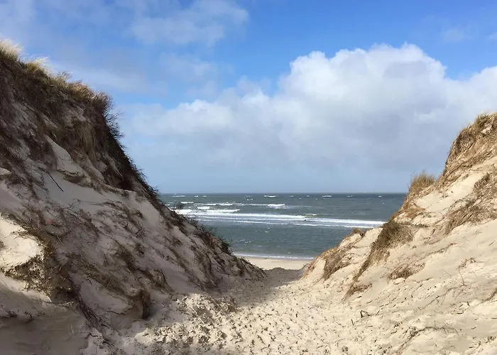 Ferienwohnung-austernfischer