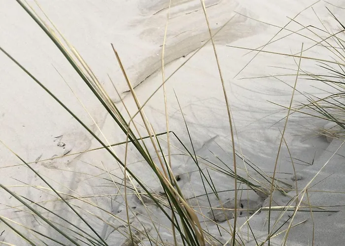 Apartamento Ferienwohnung-austernfischer *